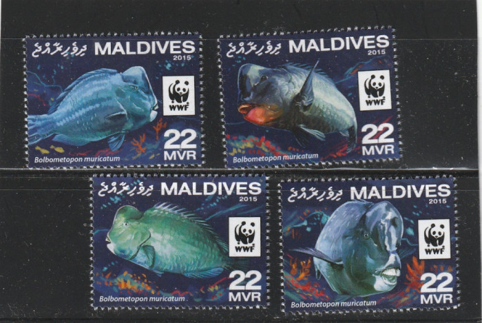Maldives 2016-WWF,Fauna,Pesti,Papagal verde,serie 4 val. ,MNH,Mi.6200-6203