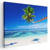 Tablou peisaj plaja cu palmier Tablou canvas pe panza CU RAMA 30x40 cm