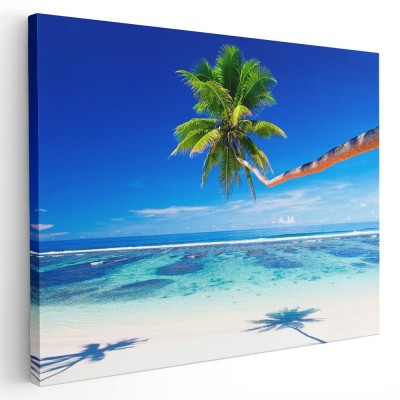 Tablou peisaj plaja cu palmier Tablou canvas pe panza CU RAMA 50x70 cm foto