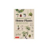 A Beginner's Guide to House Plants: Creating Beautiful and Healthy Indoor Green Spaces in Your Home