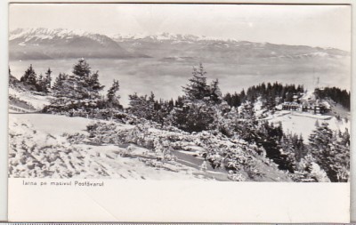 bnk cp Iarna pe masivul Postavarul - Vedere - circulata foto