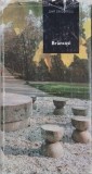 Brancusi - Dan Grigorescu (editie in limba germana)