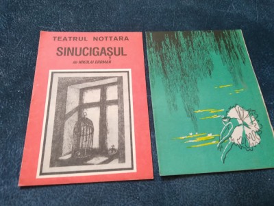 LOT 2 PROGRAME TEATRU SINUCIGASUL LACUL LEBEDELOR foto