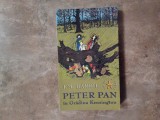 Peter Pan in Gradina Kensington de J.M. Barrie