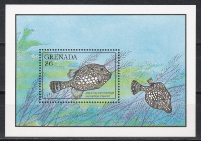 Grenada 1990 - Pește și recif de corali, Colita, MNH foto