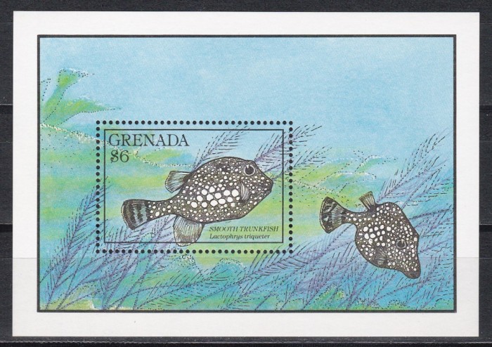 Grenada 1990 - Pește și recif de corali, Colita, MNH
