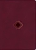 CSB Day-By-Day Chronological Bible, Burgundy Leathertouch