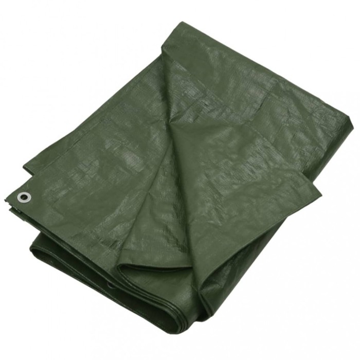 Gossi prelata 180 g/m2, verde, 4x6 m, hdpe
