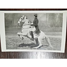 Fotografie tip Carte Postala, Scoala spaniola de echitatie de la Viena, 1931, necirculata