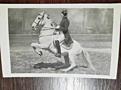 Fotografie tip Carte Postala, Scoala spaniola de echitatie de la Viena, 1931, necirculata foto