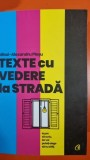 Texte cu vedere la strada - Mihai Alexandru Plesuuk.