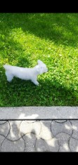 Monta / imperechere bichon foto