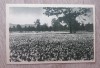QW24 F - Carte postala - tematica turism - vedere - Fagaras 7, Necirculata, Fotografie