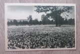 QW24 F - Carte postala - tematica turism - vedere - Fagaras 7, Necirculata, Fotografie