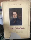 Franz Schubert, ein Lebensbild / Harry Goldschmidt