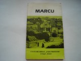 Marcu. Un studiu biblic &quot;fara profesor&quot; - Irving L. Jensen, Alta editura