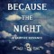 Because the Night: A Vampire Romance
