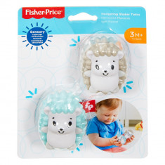 Jucarie zornaitoare Fisher Price, Arici, FXC22