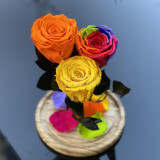 Cumpara ieftin 3 Trandafiri portocaliu, multicolor, galben &Oslash;6,5cm 17x28cm