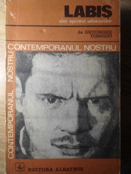 SUNT SPIRITUL ADANCURILOR-NICOLAE LABIS-235055 foto