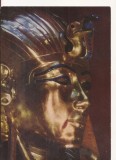FA136 -Carte Postala- GERMANIA - Der Schatz des Tut-Ench-Amun. necirculata