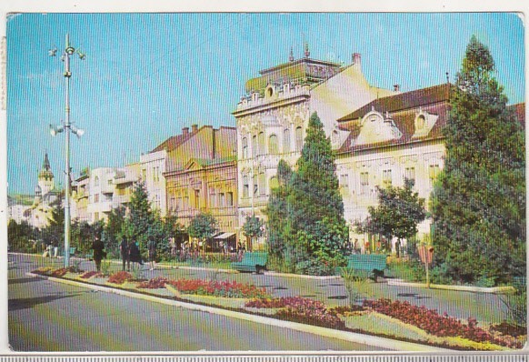 bnk cp Targu Mures - Vedere - circulata