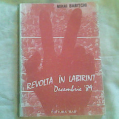 Revolta in labirint-Decembrie '89 Alba Iulia-Mihai Babitchi
