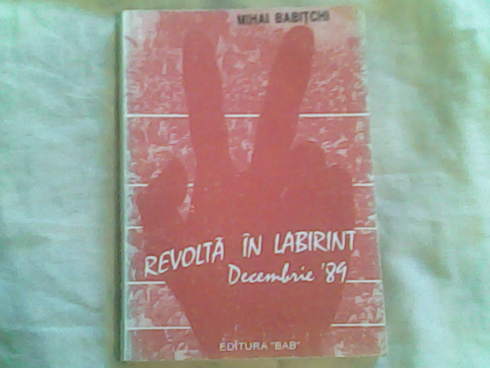 Revolta in labirint-Decembrie &#039;89 Alba Iulia-Mihai Babitchi