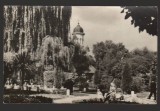 CPIB 21639 - CARTE POSTALA - RADAUTI. VEDERE DIN PARC, Circulata, Fotografie