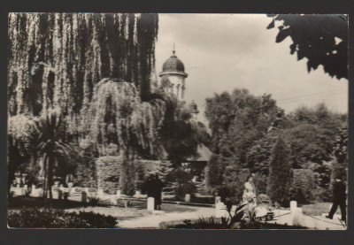 CPIB 21639 - CARTE POSTALA - RADAUTI. VEDERE DIN PARC foto