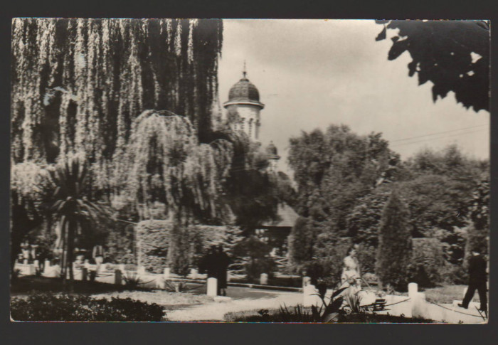 CPIB 21639 - CARTE POSTALA - RADAUTI. VEDERE DIN PARC