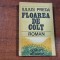 Floarea de colt de Iulius Preda