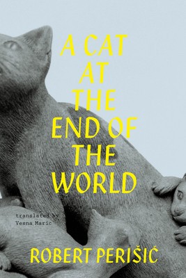 A Cat at the Edge of the World foto