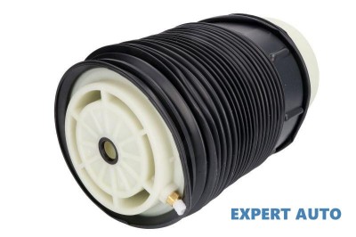 Perna aer suspensie pneumatica stanga spate Mercedes E-Class (2009-&amp;gt;) [W212] #1 foto