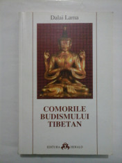 Comorile budismului tibetan - Dalai Lama foto