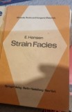 E. Hansen - Strain Facies