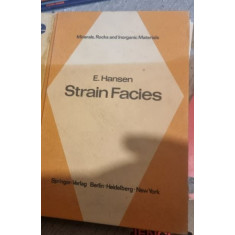 E. Hansen - Strain Facies