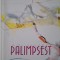 Palimpsest &ndash; Lucia Cuciureanu