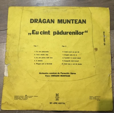 Vinil 4.1 Vinyl Electrecord , Dragan Muntean foto