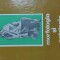 Morfologia Si Patologia Tesutului Conjunctiv - M. Ifrim I. Capusan