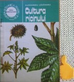 Alexandru Cazanaru - Cultura ricinului