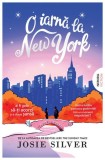 O iarnă la New York Roman Paperback Brosat Nemira Carti Beletristica