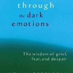 Healing Through the Dark Emotions: The Wisdom of Grief, Fear, and Despair