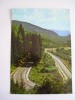 QW23 B - Carte postala - tematica turism - vedere - Romania - Borsec 6, Necirculata, Fotografie