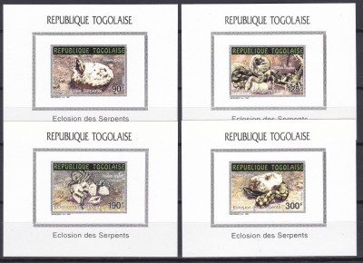 DB1 Fauna Togo 1992 Reptile Serpi 4 SS MNH foto