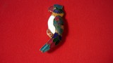BROSA CLOISONNE, PAPAGAL