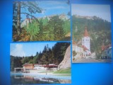 HOPCT LOT 3374 - 3 CARTI POSTALE-RASNOV -JUD BRASOV-CIRCULATE
