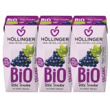 Nectar Struguri Rosii Bio Hollinger 3x200ml, Fara Zahar Adaugat, Cu Pai