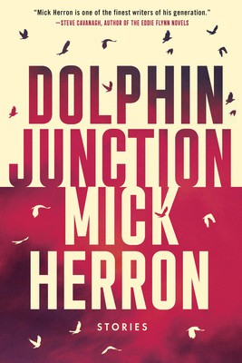 Dolphin Junction: Stories foto