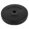 Disc greutate fitness, de 5 kg, negru, 25 cm